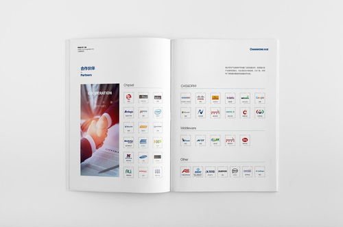 廣州創(chuàng)意畫冊(cè)設(shè)計(jì)與代理代辦廣告公司推薦